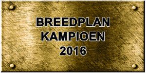 Red Barrel Centre Spread 2